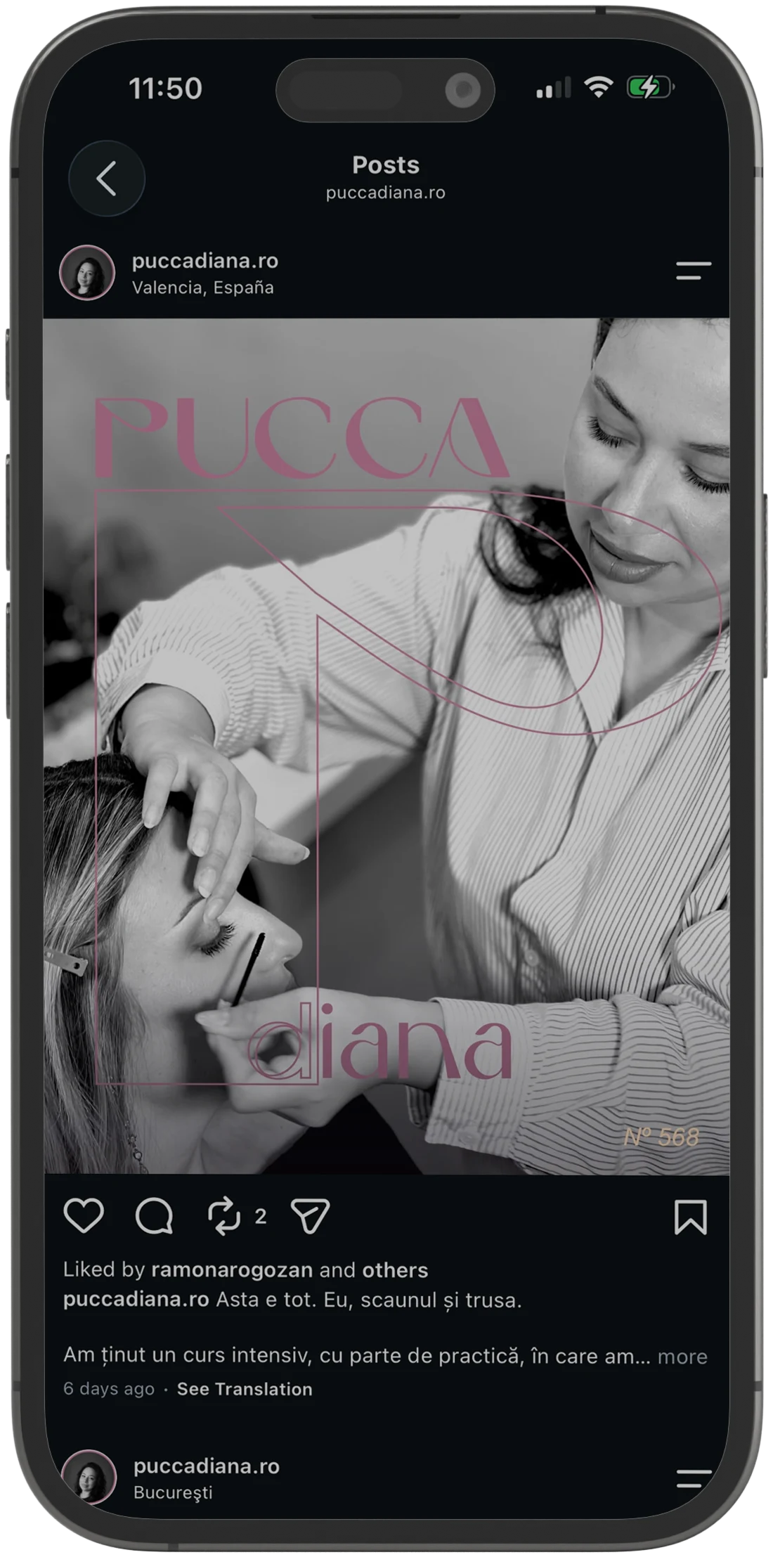 Pucca Diana: mai întâi telefonul, nu la urmă · Alkeme Design
